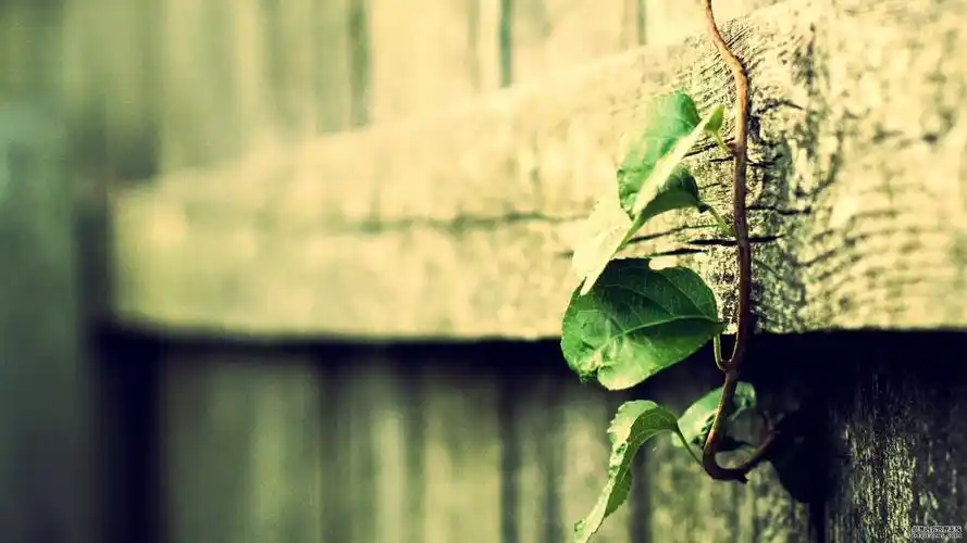 淡淡的忧伤 > || 更新时间:2015-10-19 颜色分 炫彩 关键词:  唯美