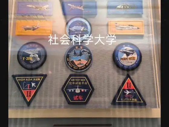 空军航空兵试飞部队臂章.