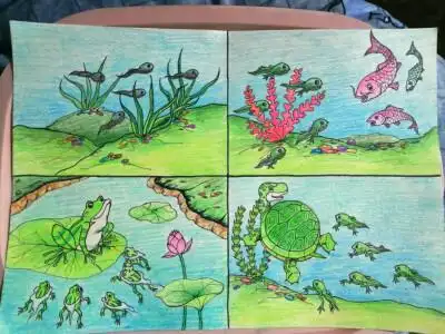 儿童画 蝌蚪找妈妈