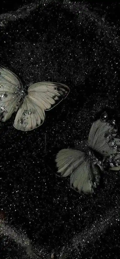 壁纸来换ins新壁纸啦