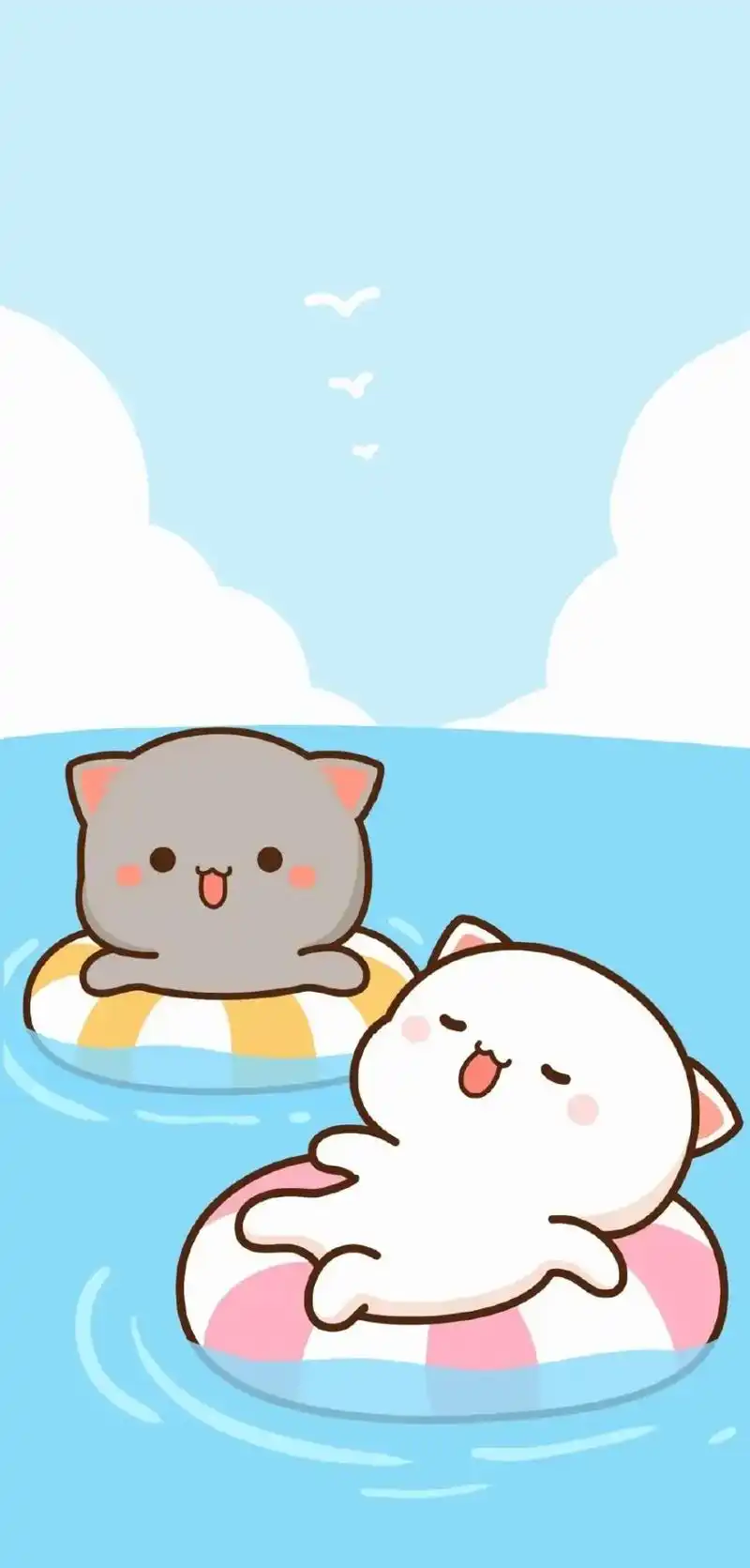 可爱 #蜜桃猫 #壁纸  - 抖音