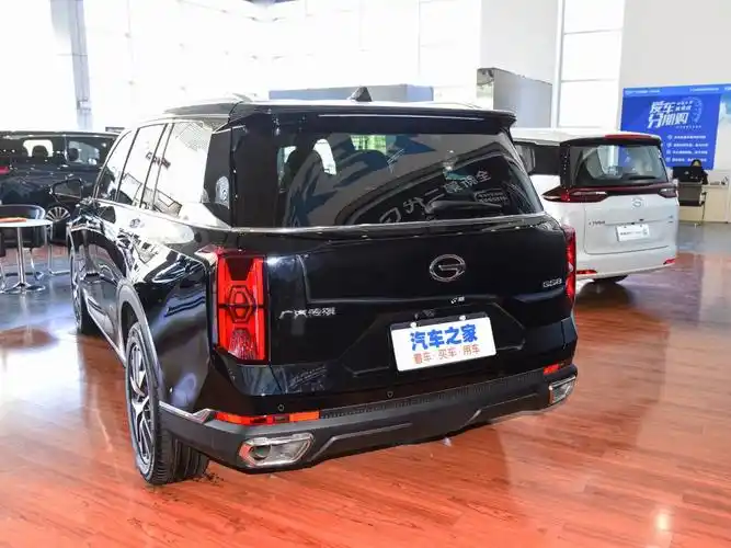 广汽乘用车 传祺gs8 2022款 领航系列 2.0tgdi 两驱尊享版(七座)