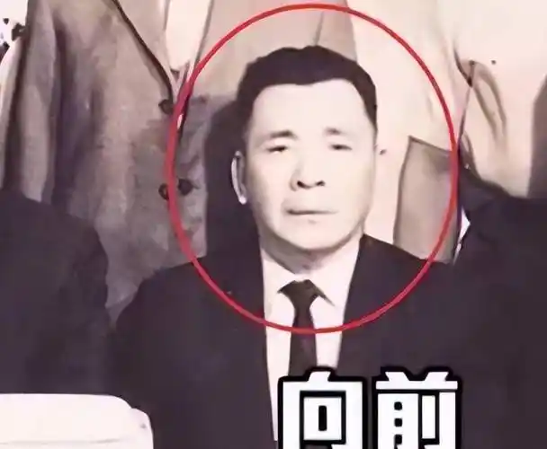 向华胜_娱乐_向家