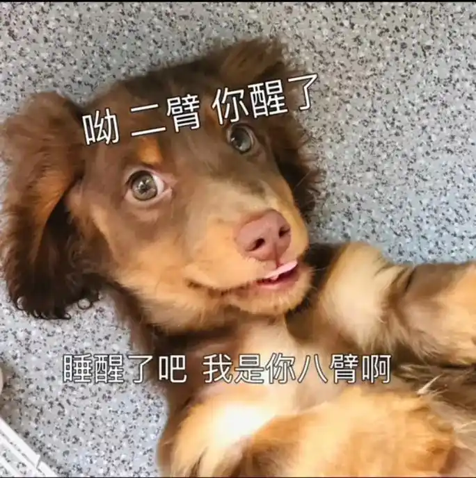 搞笑图片热门 #沙雕图片 #人间真实 #抖音小助手dou上 - 抖音