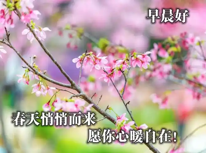 精美的早安图片温馨的早安问候语最美的祝福送给亲爱的朋友