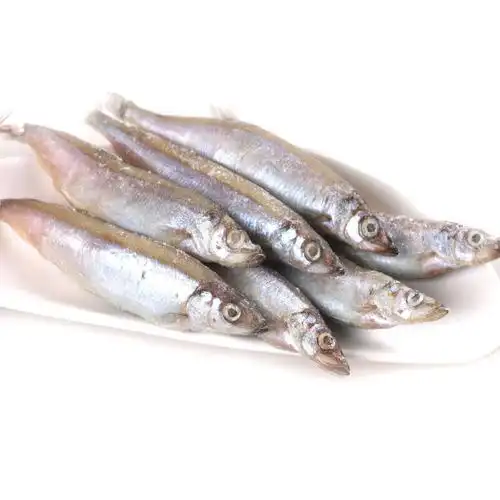 顺食真 进口带籽多春鱼 1000g 条条满籽 日料烧烤生鲜500g*2袋装