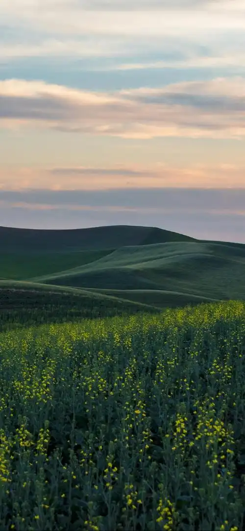 大自然美丽风景摄影高清手机壁纸