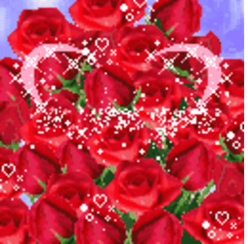 星星爱心一大束红色玫瑰gif动图_动态图_表情包下载_soogif