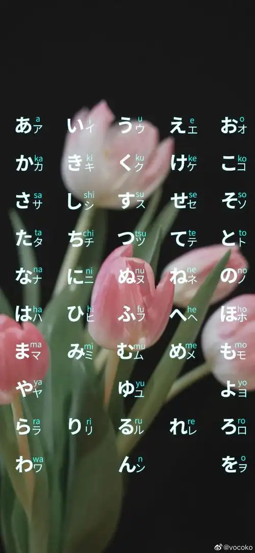 我搞了几张五十音的壁纸