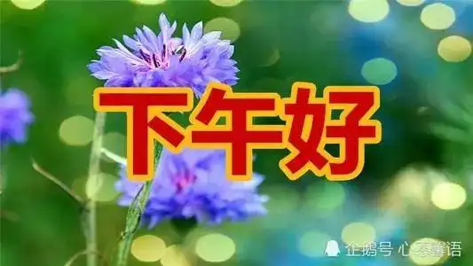 下午好表情图片大全大家下午好祝福图片大全