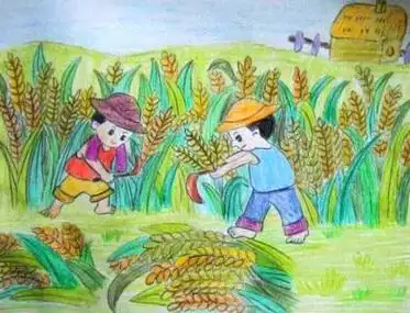 以秋天的田野为主题的简笔画稻田简笔画图片怎么画的秋季丰收简笔画