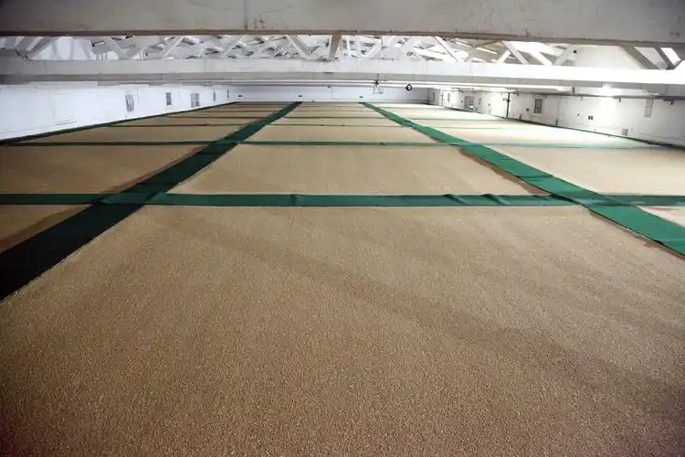 早早地做好了准备,清理消毒,维修检验,产区调研……他们以粮库为家