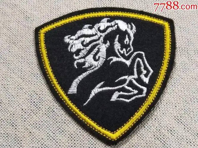 俄罗斯陆.军北高加索内卫*区臂章