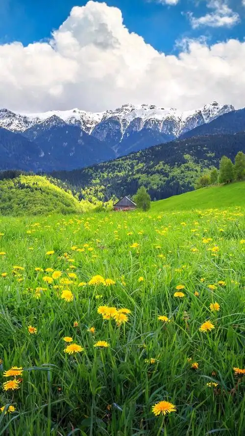 风景优美你可曾喜欢过