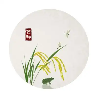 石家小鬼 · 水墨中国风-竹间系列 · 国画禅意二十四节气——芒种