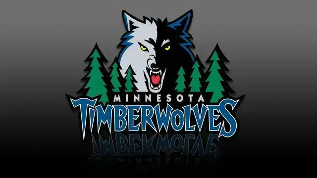 nba明尼苏达森林狼队队标