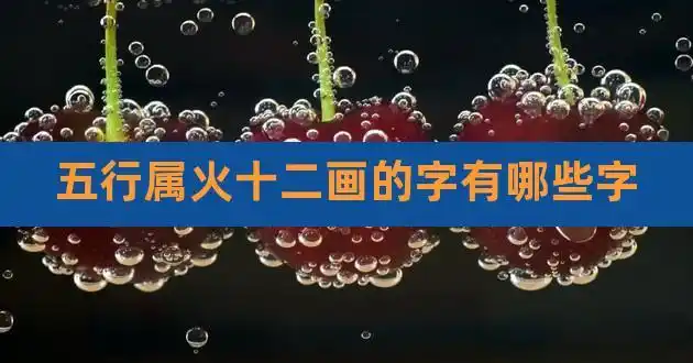 五行属火十二画的字有哪些字,十二画五行属金的字有哪些