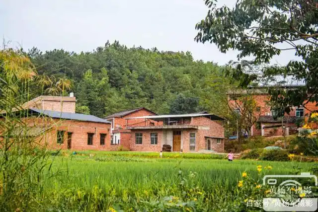 于都县上欧村的乡村风光,秋日美丽的稻田,看看都如何