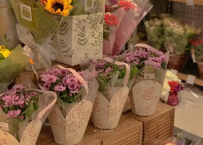 治愈系ins风背景图来一波吧