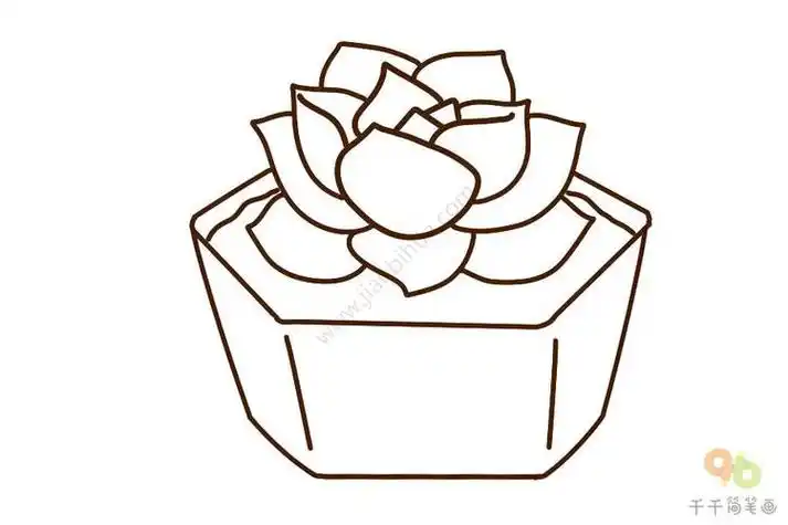 超萌的多肉植物简笔画简单好画多肉简笔画