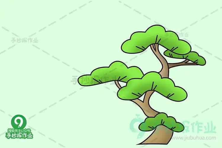 可爱的松树简笔画大图