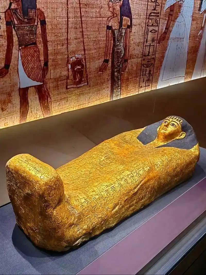 一眼目睹木乃伊真迹!还有猫猫木乃伊!