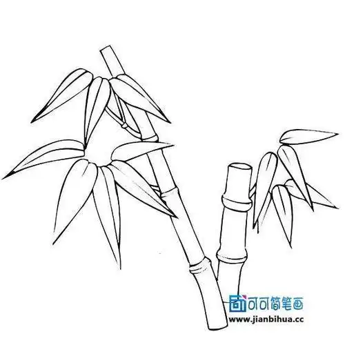 竹子的画法简笔画怎么样画竹子