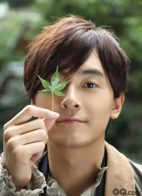 江直树(郑元畅)——恶作剧之吻 iq200的超级天才,聪明英俊,十项全能