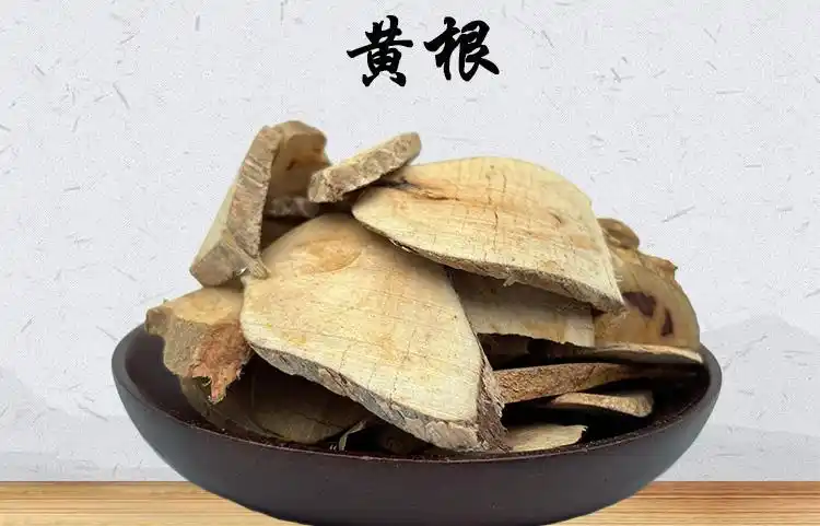 黄根,狗骨木,白狗骨,黑根子,黄根片_中药材诚实通