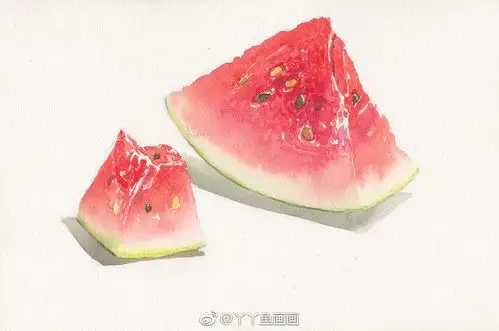 #水彩手绘# 西瓜作者:via@丫丫鱼画画-堆糖,美好生活研究所