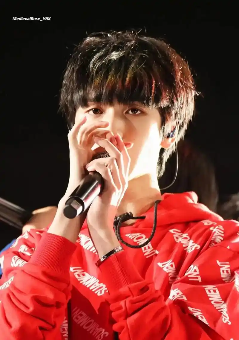 严浩翔出圈名场面 #严浩翔小熊 #极限挑战第6季 #极限挑 - 抖音