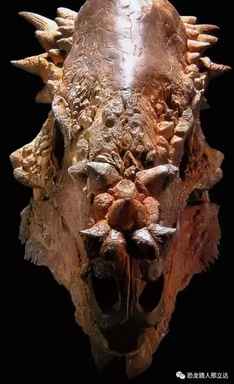 恐龙是怎样炼成的