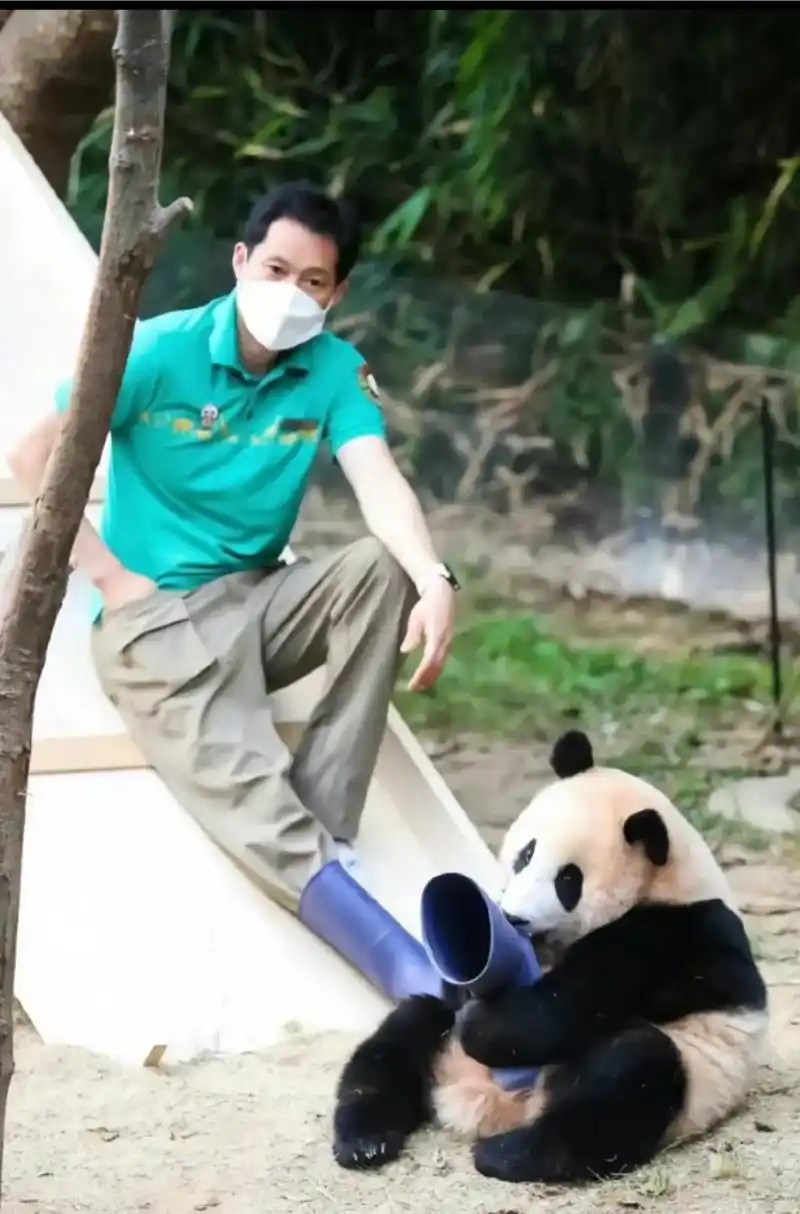 两百斤的福公主肯定每天都想要和爷爷贴贴吧,分开后可咋整#大熊 - 抖