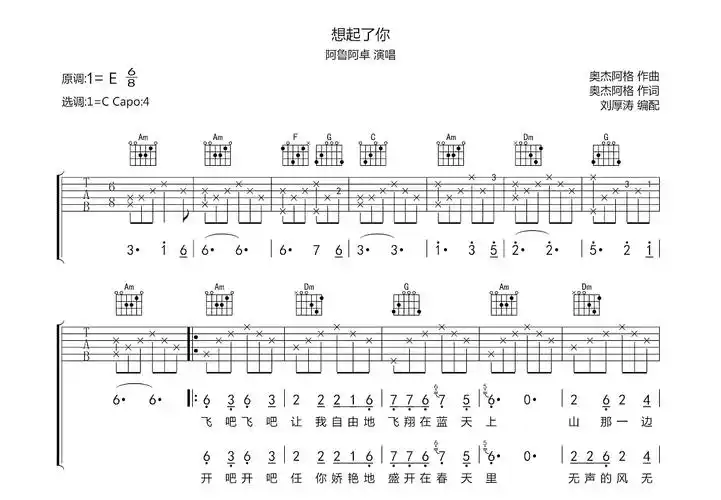 想起了你吉他谱_阿鲁阿卓_c调弹唱_65%原版_传吉吉他编配 - 吉他世界
