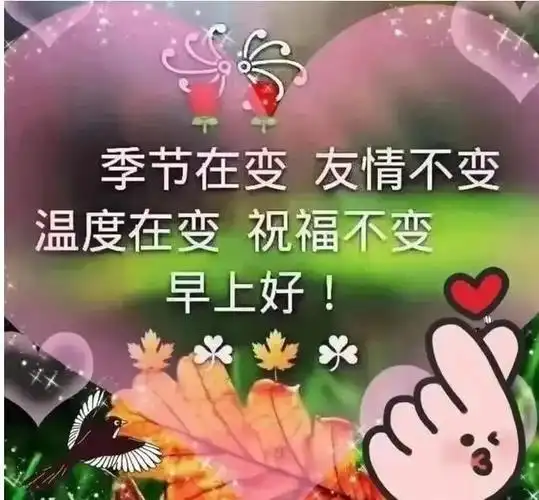 友情不变的句子精辟友谊最暖心一段话