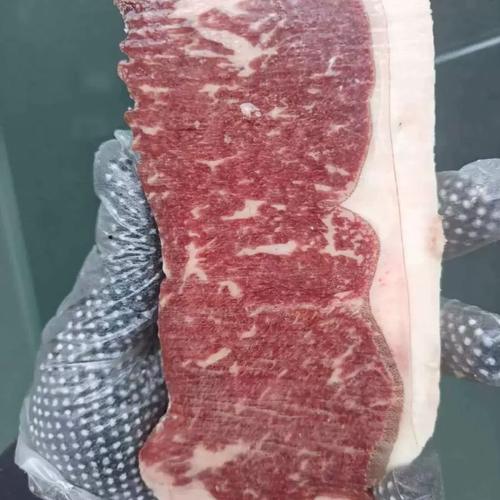 西冷m0～5 谷饲120～200天 纯血黑安格斯 乌拉圭进口 牛排 牛肉