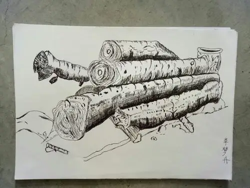 早上基本功班作品——黑色签字笔画《木头画法的学习》作品类别:速写