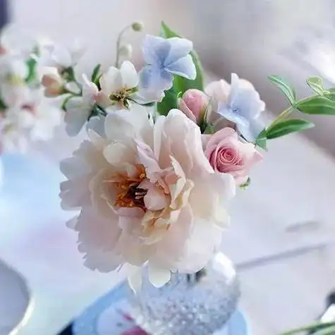 微信头像有漂亮的花的图片 好看的花微信头像