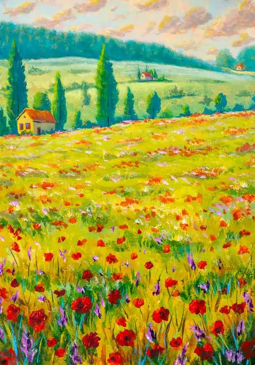 草地上的花海红色和紫色的花在黄色的草地上.