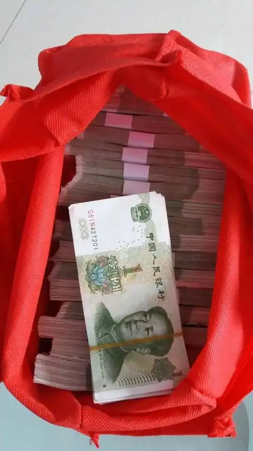 小行动传播正能量所有长春人一袋子钱遗失在公交车喂你的钱丢这儿了