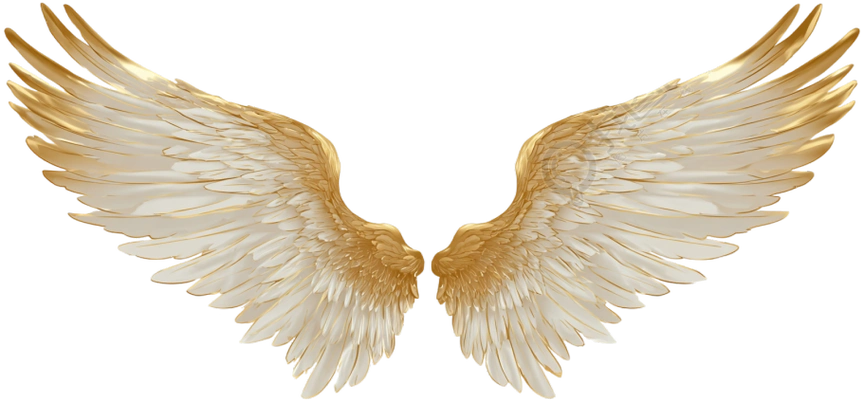 天使金色翅膀元素