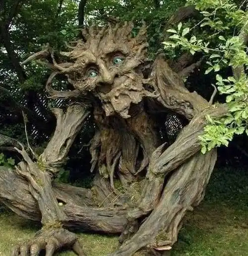 世界上能吃动物的植物约520多种,但绝大多数只能吃些细小的昆虫.