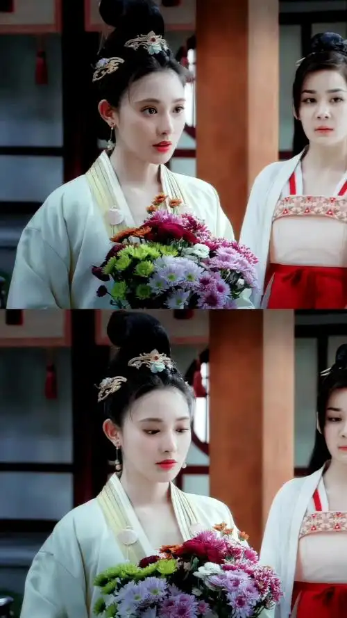 东宫彭小苒曲小枫