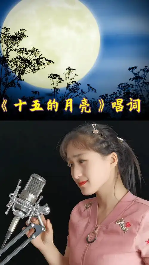 董文华十五的月亮唱词又一次被教唱这次您学会了吗