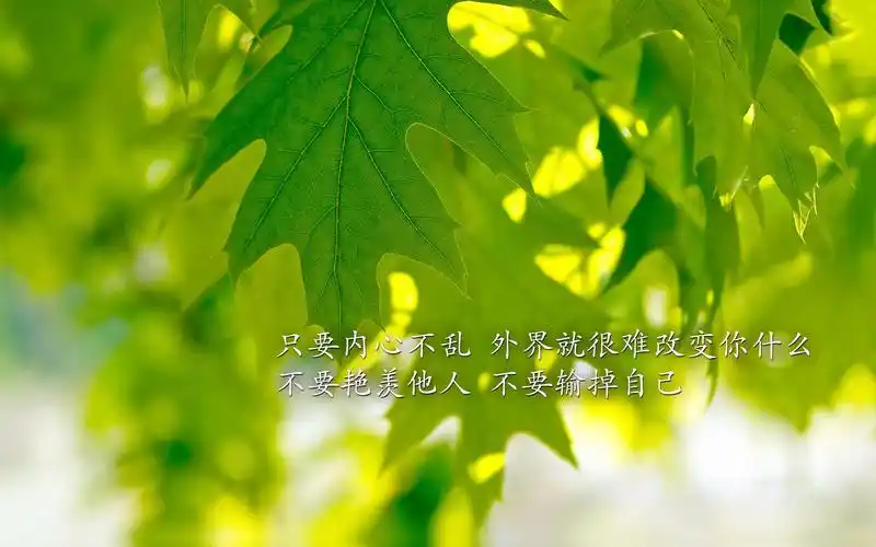 唯美励志文字小清新电脑壁纸图片大全