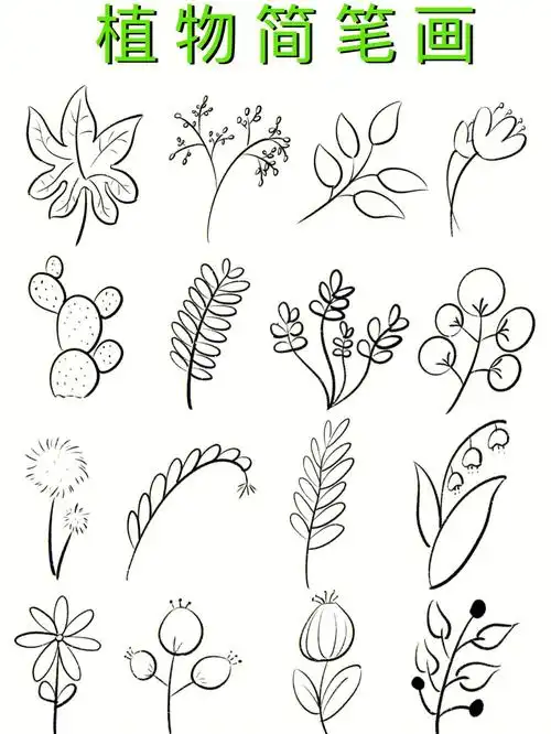 简笔画植物简笔画