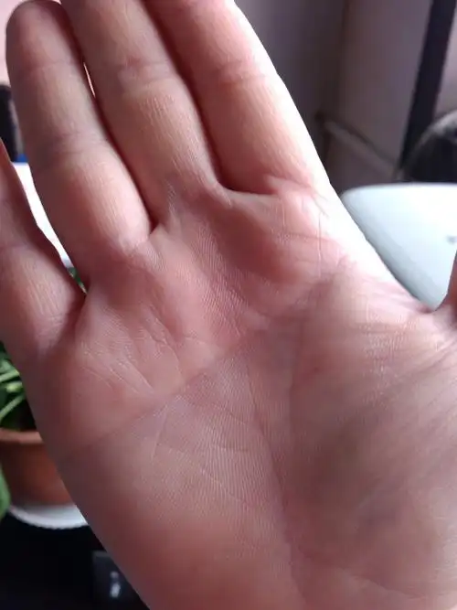 请老师看看手相,女断掌生命线短