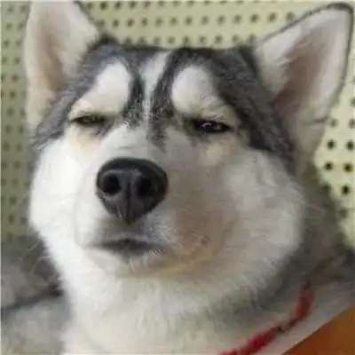 2人基友头像沙雕智障图片