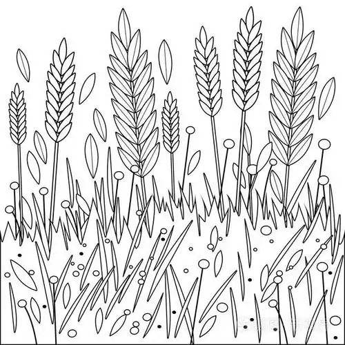 黑白着色书页插画-正版商用图片0g472n-摄图新视界