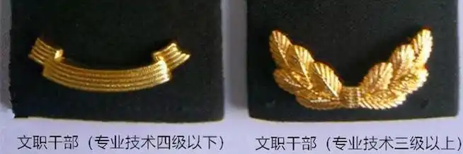 同时,文职人员肩章加了松叶枝和飘带用以区分等级.